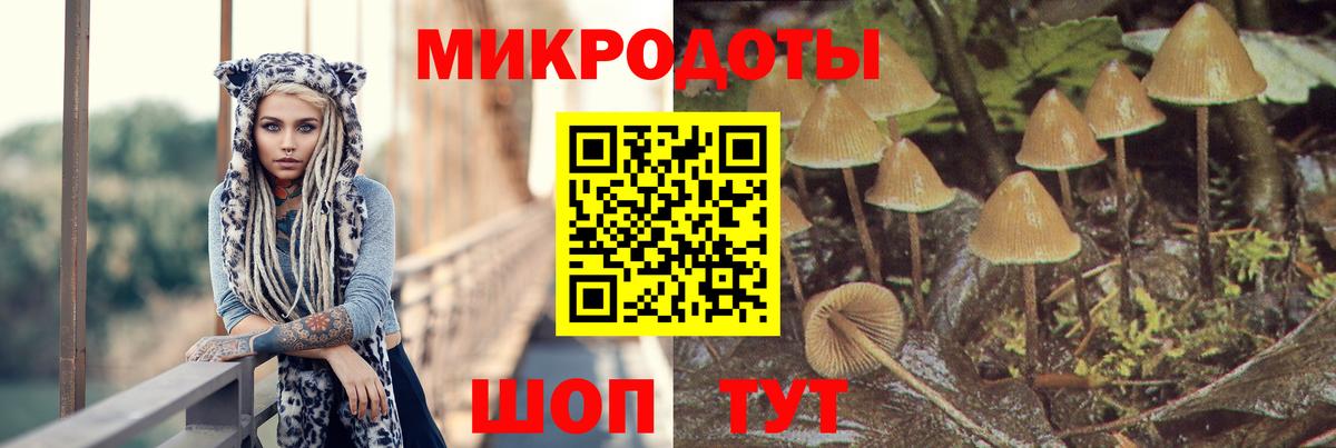 Галлюциногенные грибы прущие грибы Ишимбай